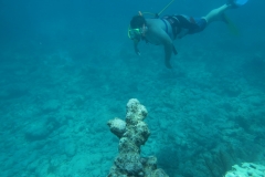 Private Charters Key West