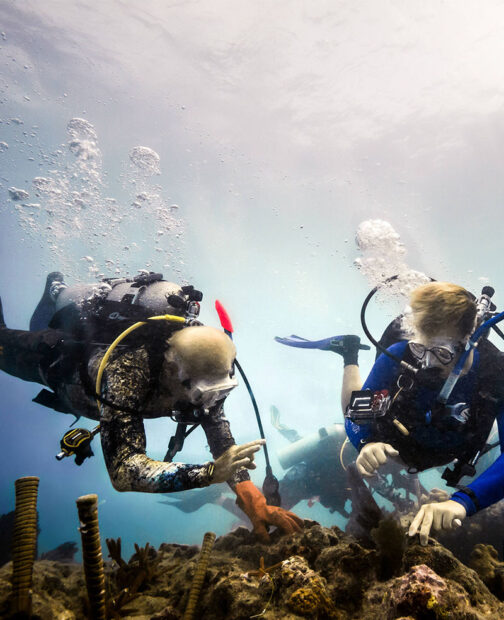 Group of people enjoying a snorkeling adventure in Key West